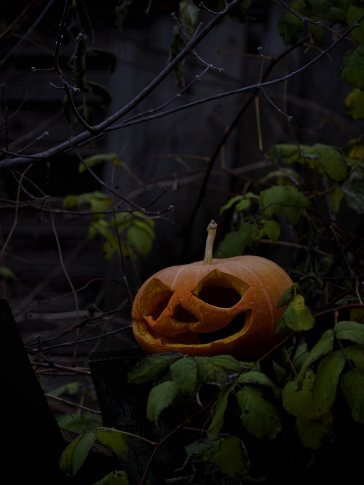 Jack-o'-lantern