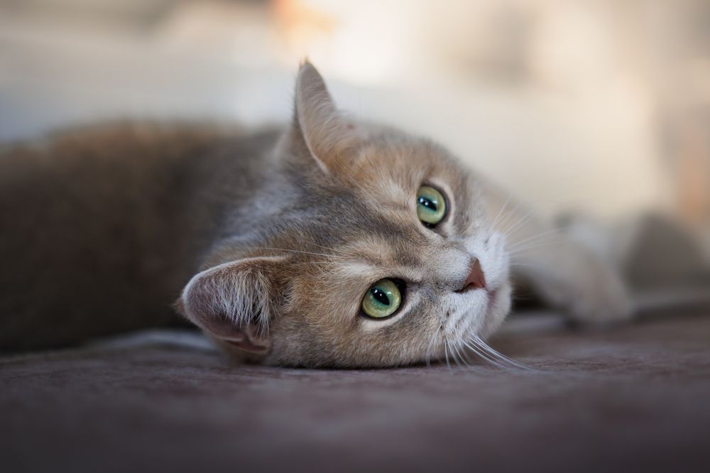 Photograph by Louisa85