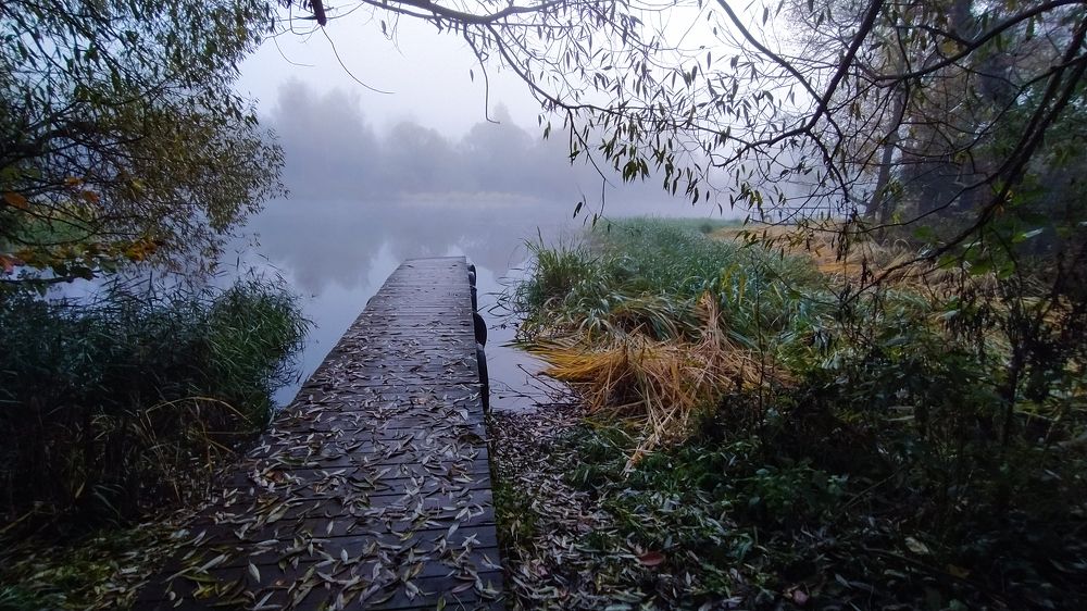 Photograph by Виктор Поверенов