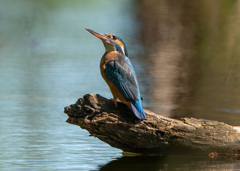 Photograph by Viktor Makarov