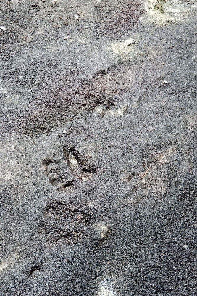 Photograph by София Гавриловна Вотякова