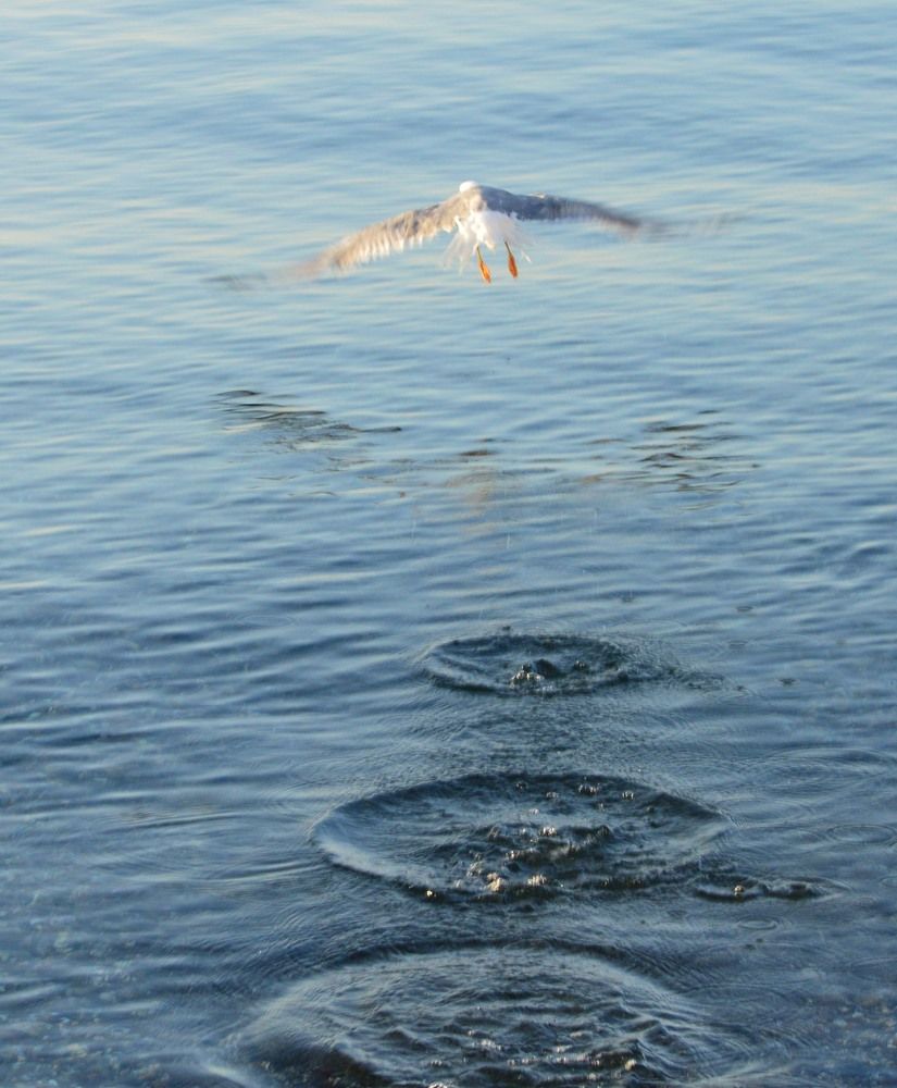 В три прыжка