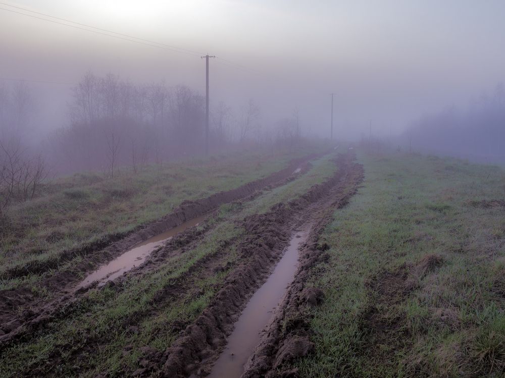 Photograph by Шутов Владимир