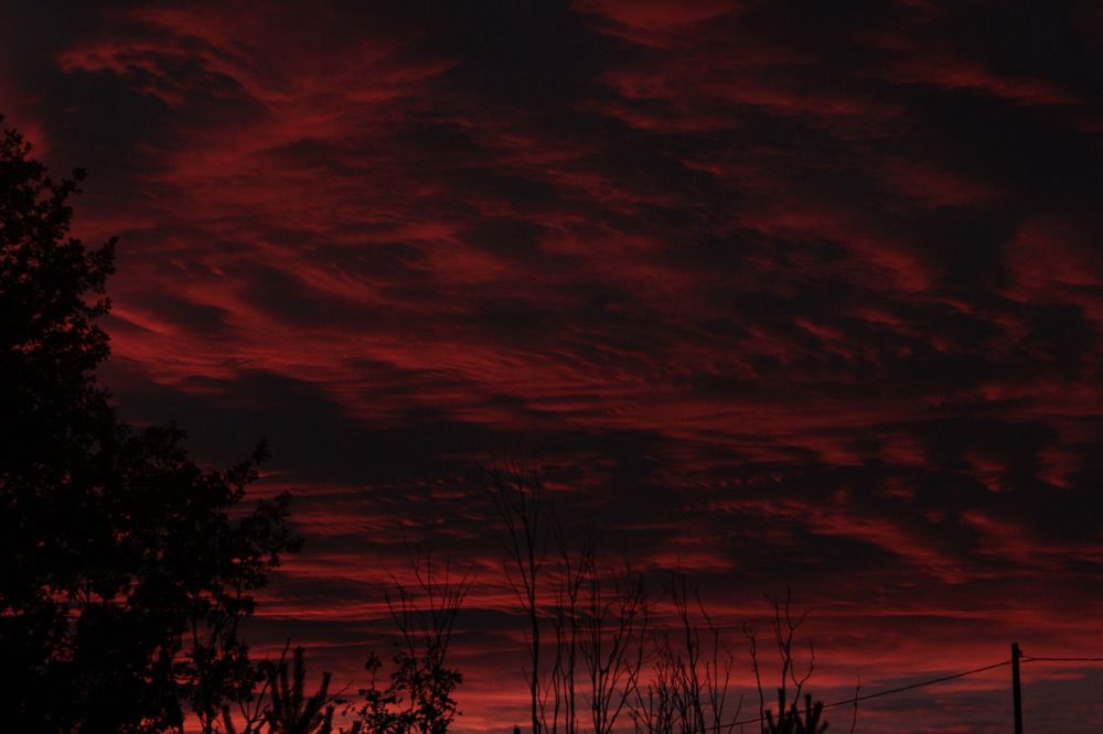 Photograph by Анна