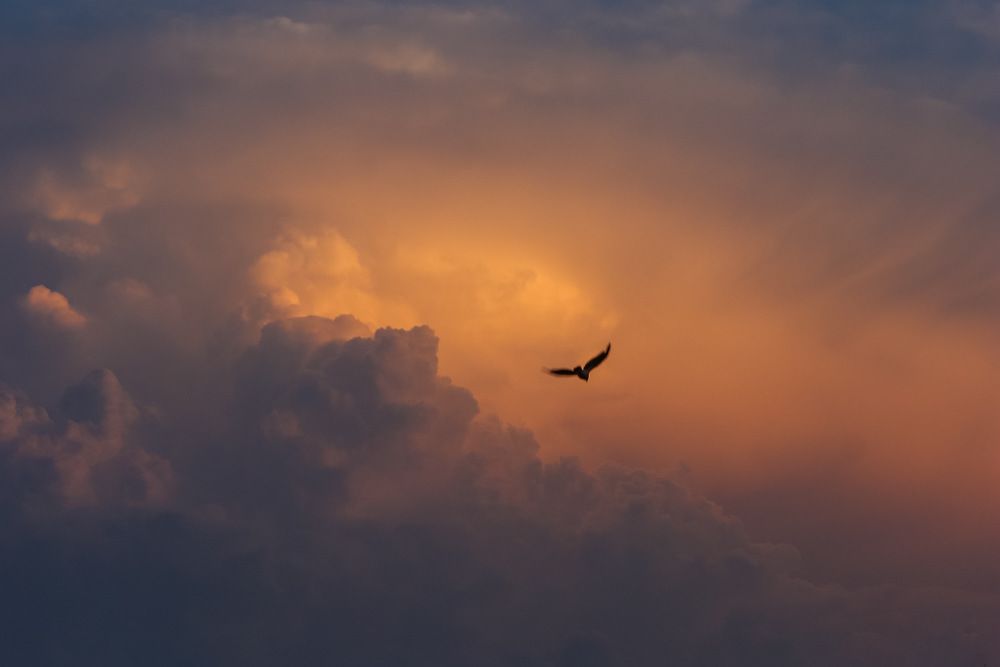 Photograph by Светлана Жилина