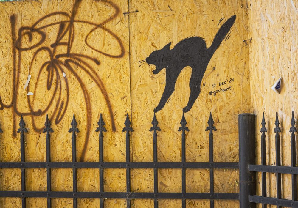 Фотография автора Каргин Валерий