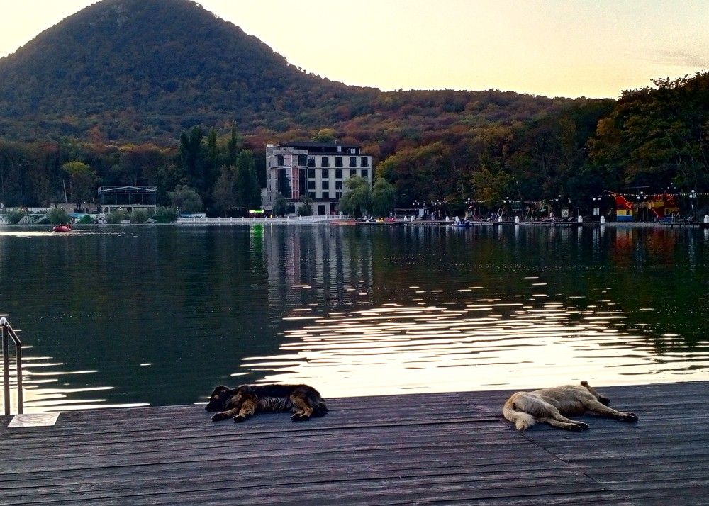 Photograph by Наталья Литовкина