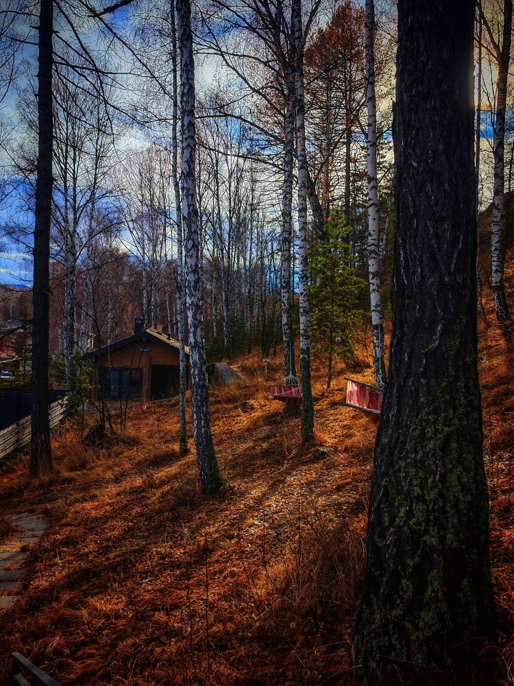 Photograph by Ольга Мажарук