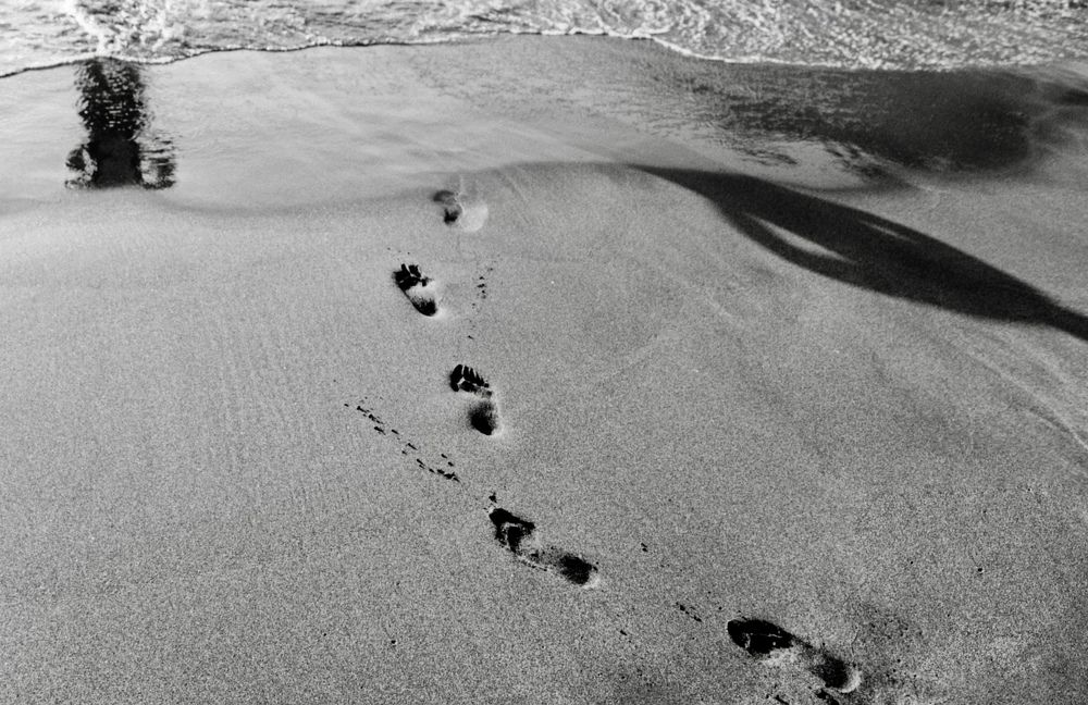 Photograph by Олег Банковский