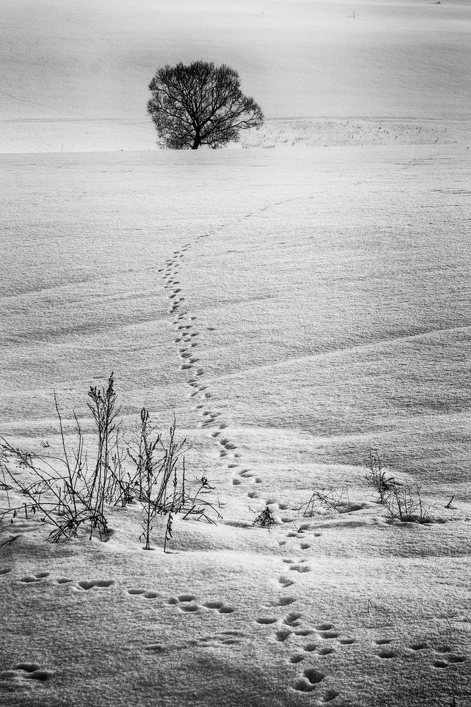 Photograph by Олег Тыркин