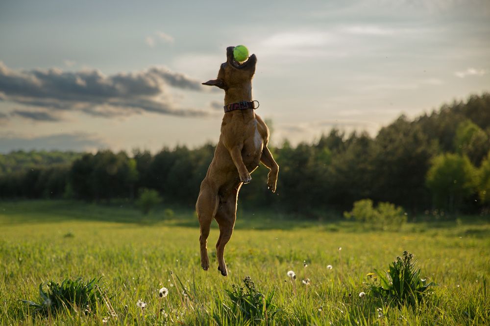 Photograph by Мария Шерскова