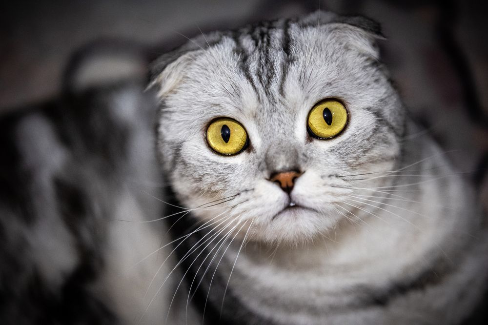 Photograph by Aleksey Afonkin