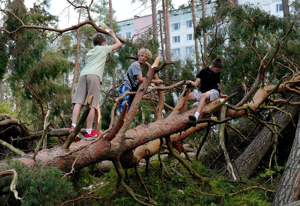 После урагана./три не медведя/
