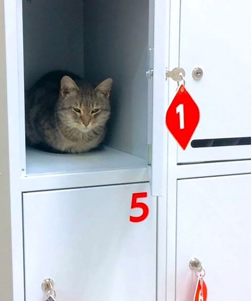 Photograph by Алексей Коношонкин