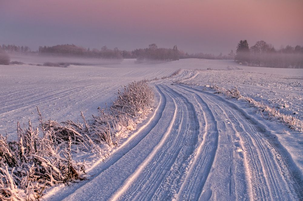 Photograph by Janis Serdienis