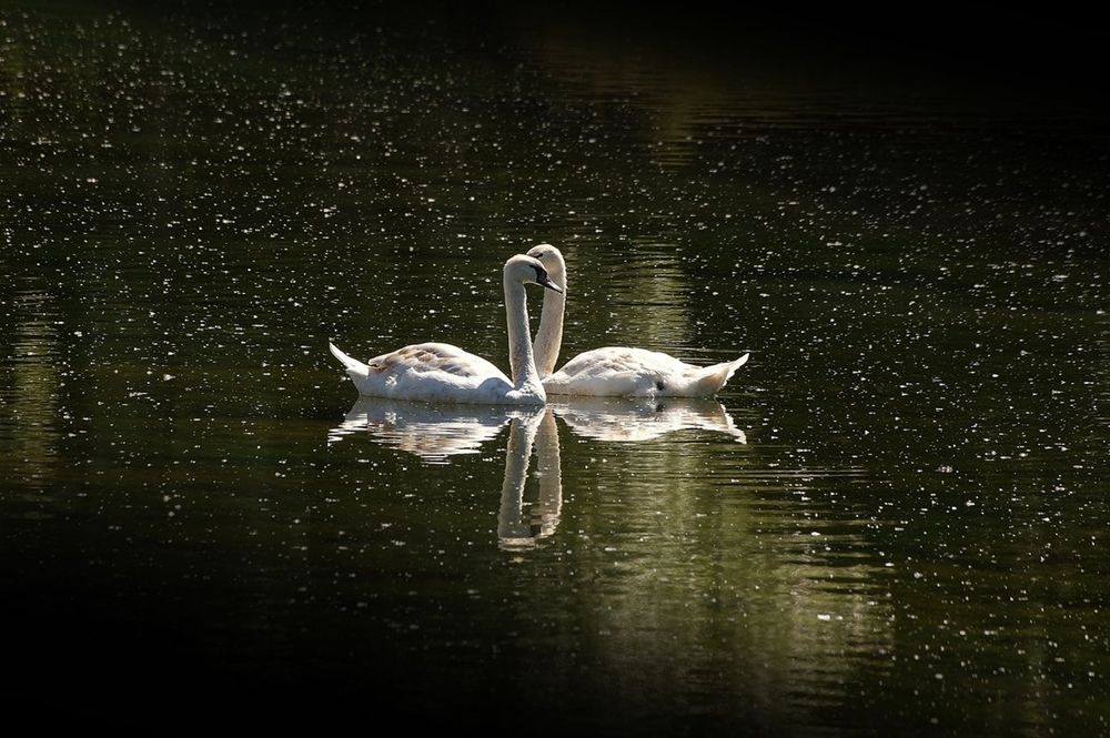 Photograph by Леонид Владимирович