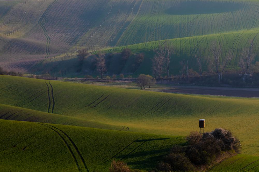 Photograph by Евгения Чех