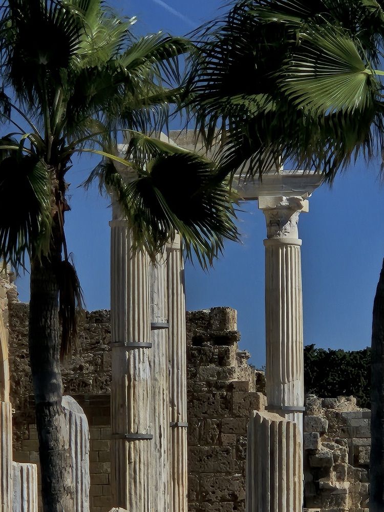 Фотография автора Тихонова Анфиса