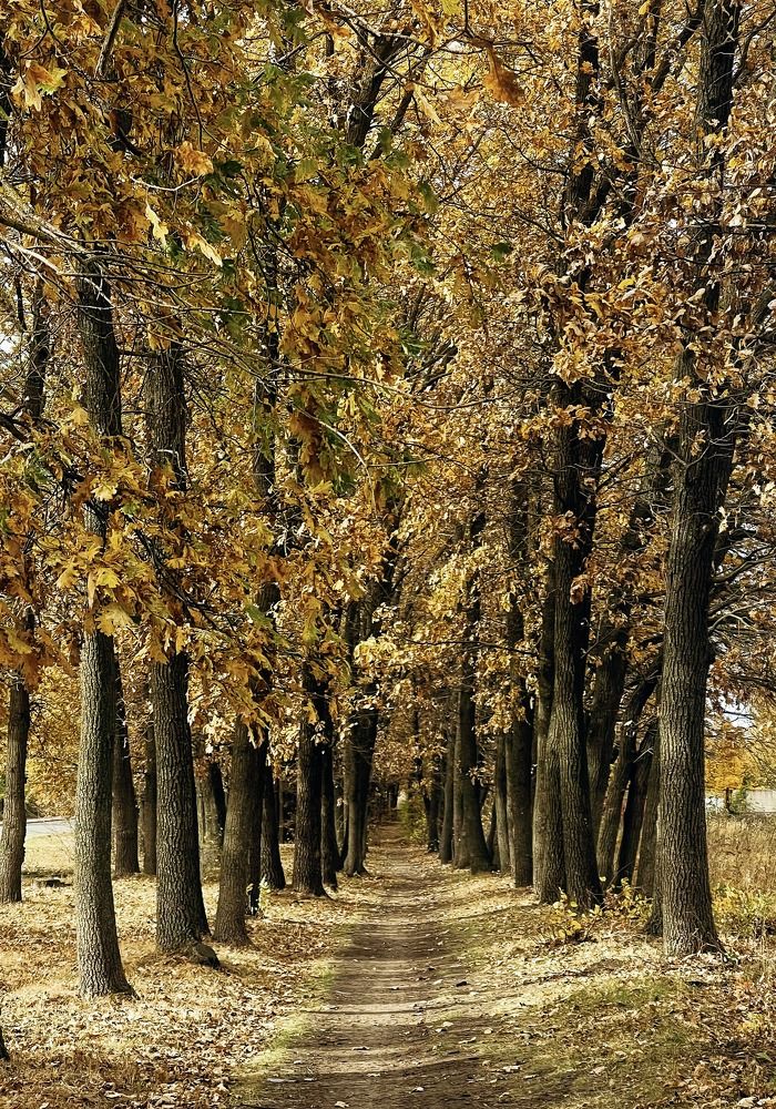 Photograph by Виталий Головащенко