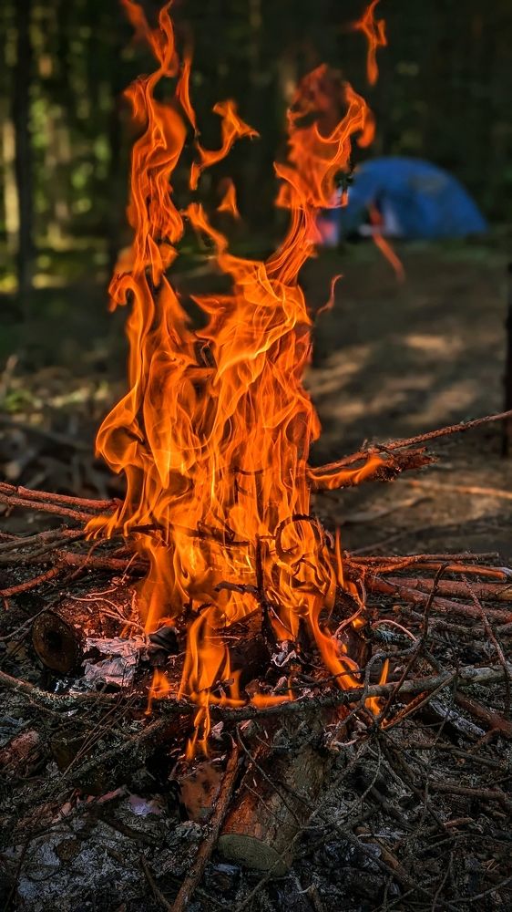 Photograph by Светлана