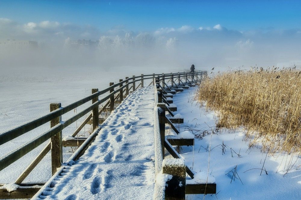 Photograph by Janis Serdienis