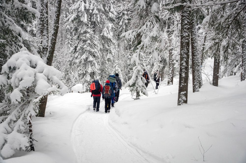 Photograph by Виктор Петров