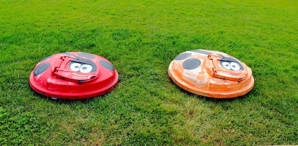 Photograph by Ирина Шибитова