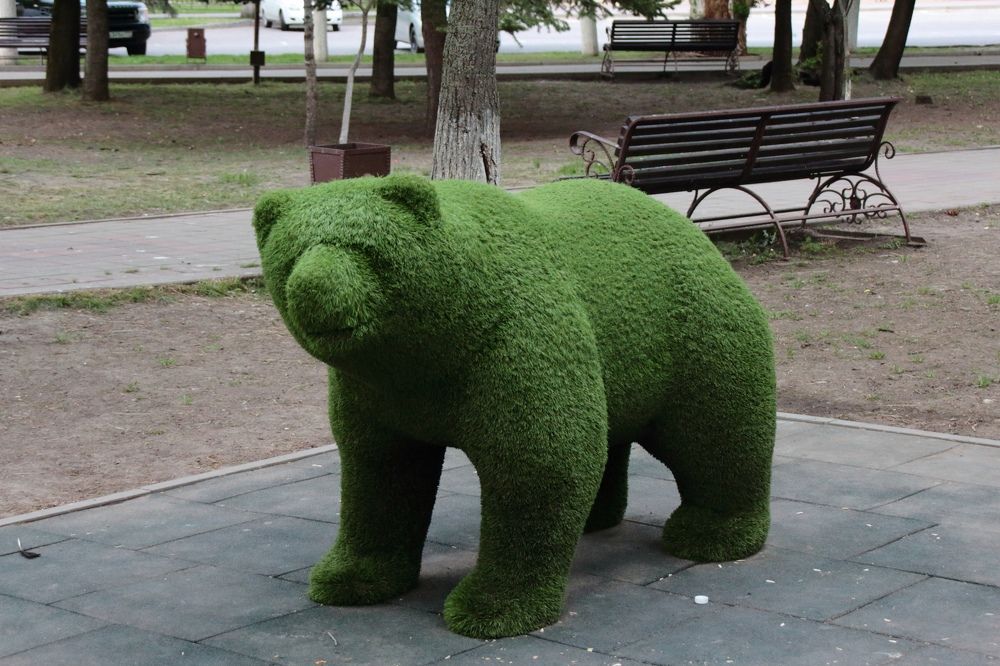 Photograph by Ирина Шибитова