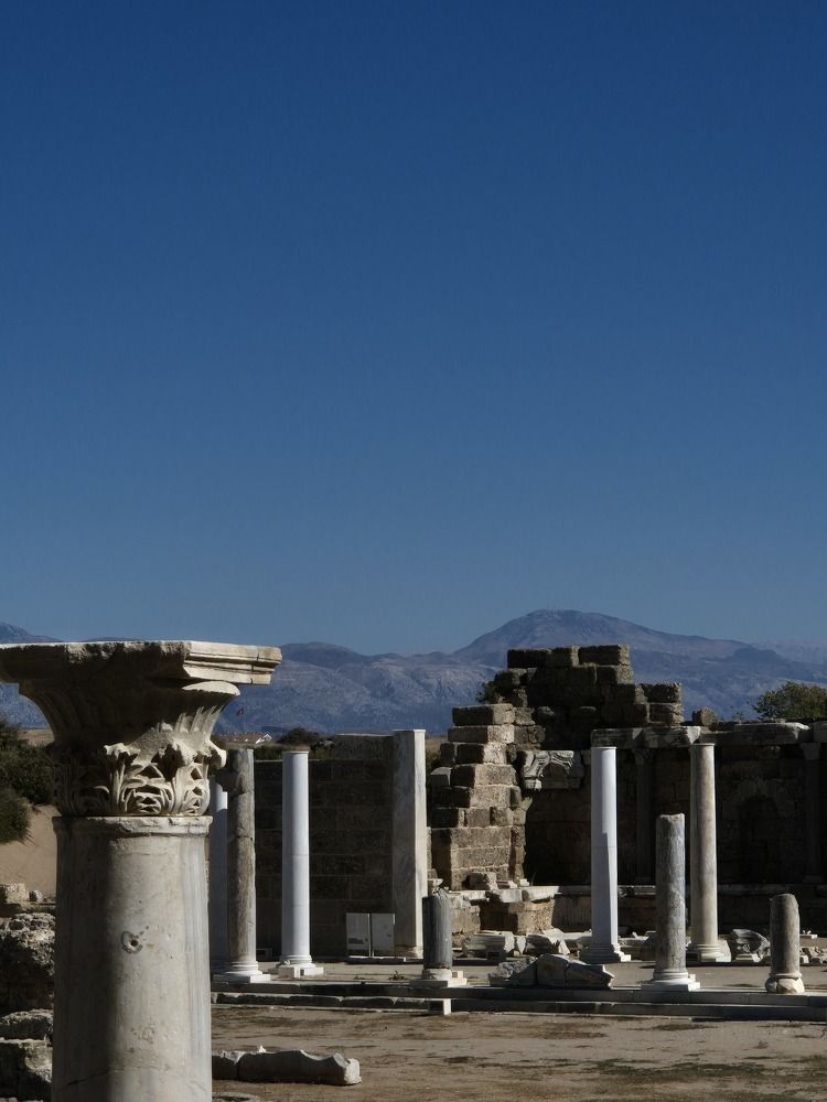 Фотография автора Тихонова Анфиса