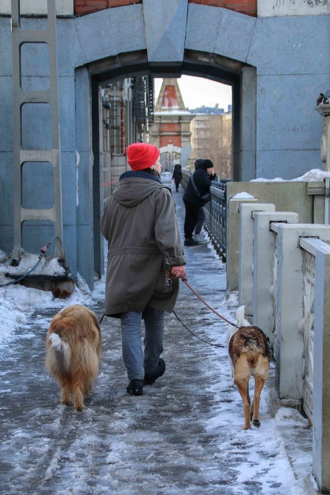 Photograph by Екатерина Стрельцова