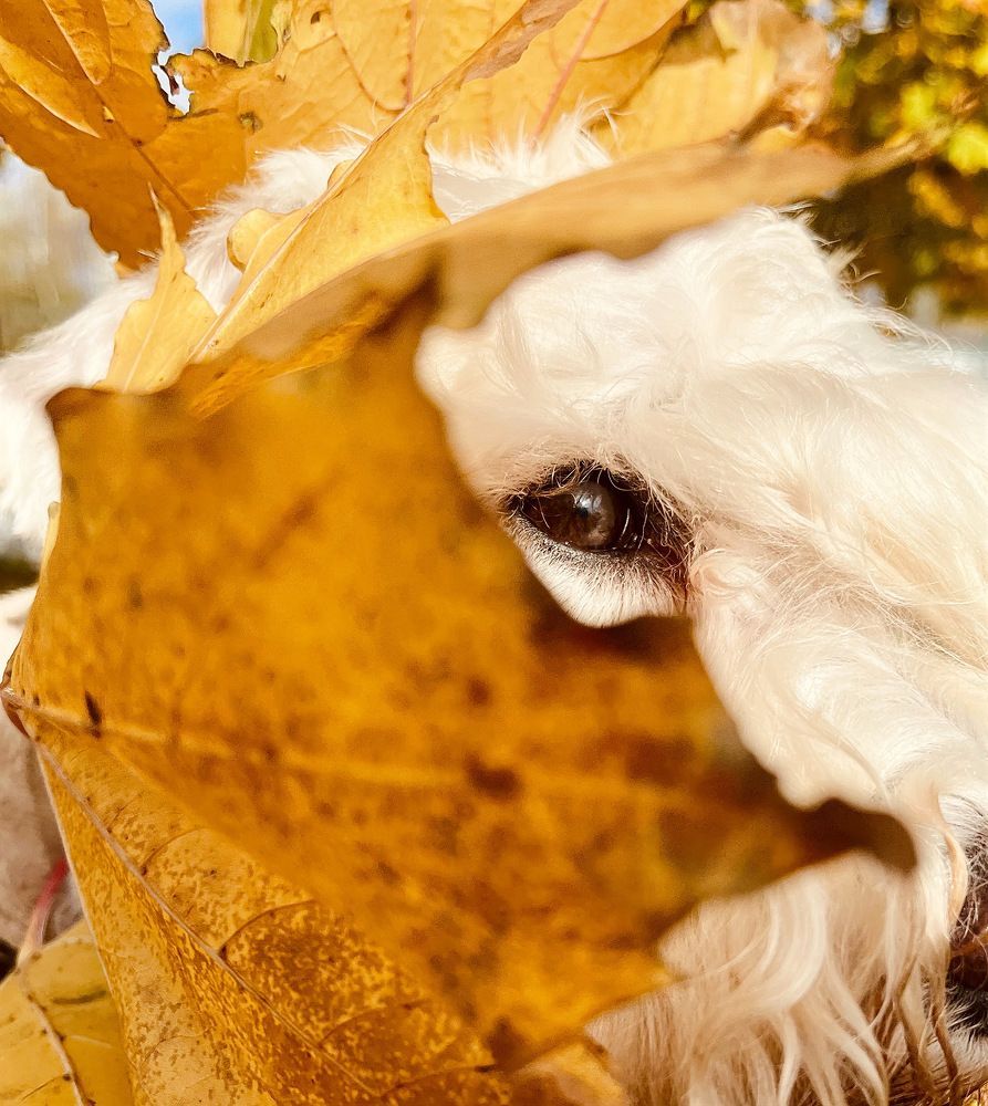 Photograph by Юлия Дудкова