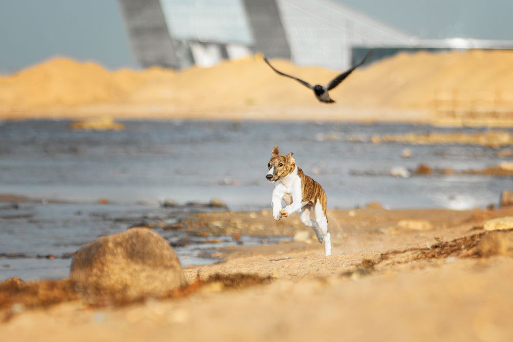 Photograph by Зубкова Юлия