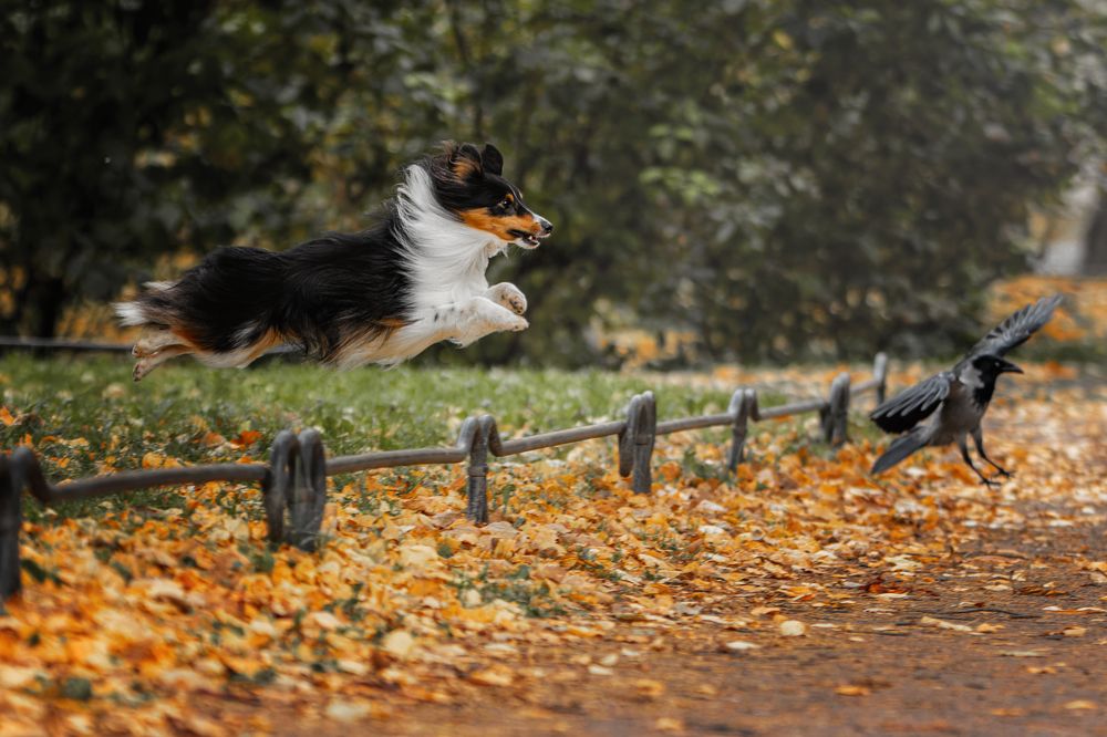 Photograph by Зубкова Юлия