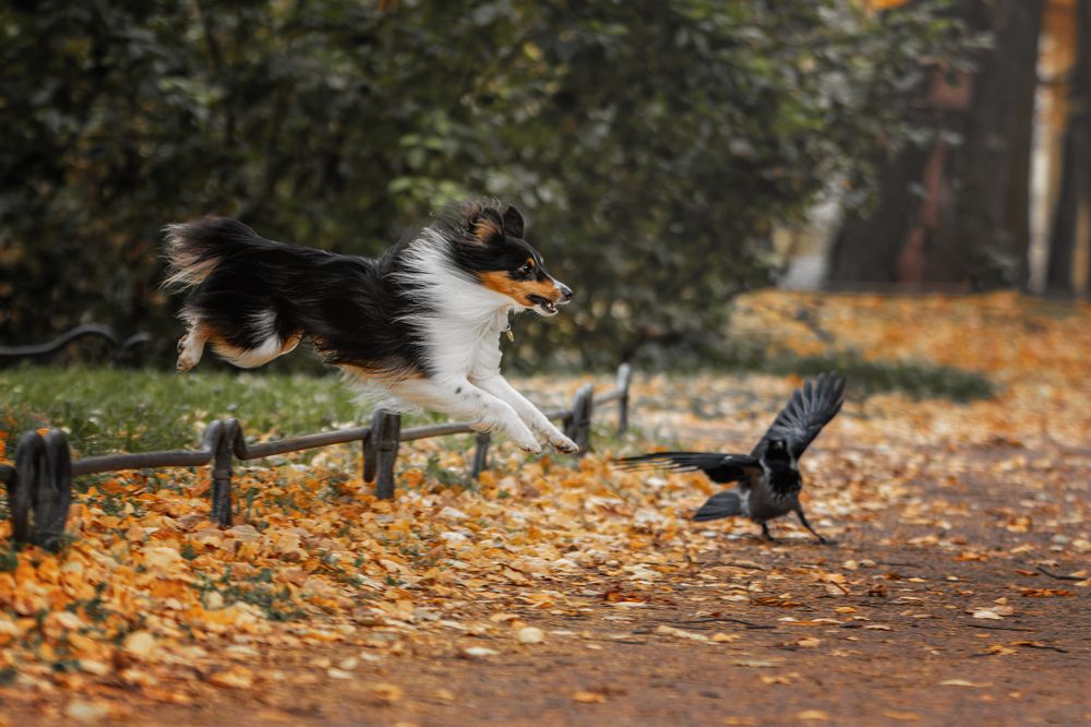 Photograph by Зубкова Юлия