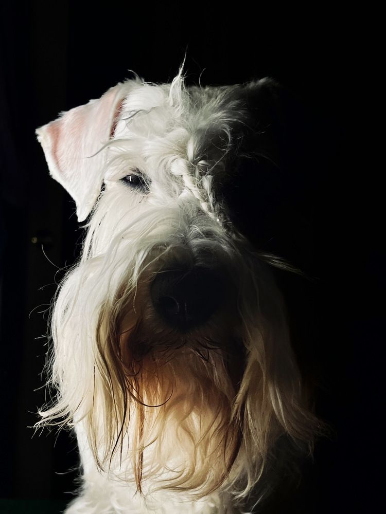 Photograph by Юлия Дудкова