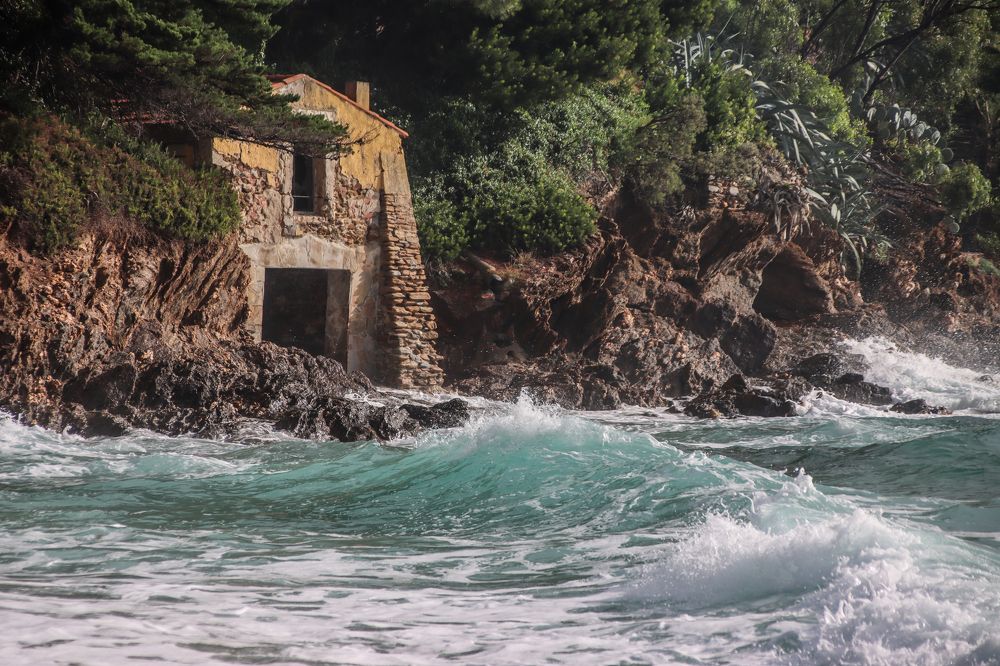 Фотография автора vanessa elbin