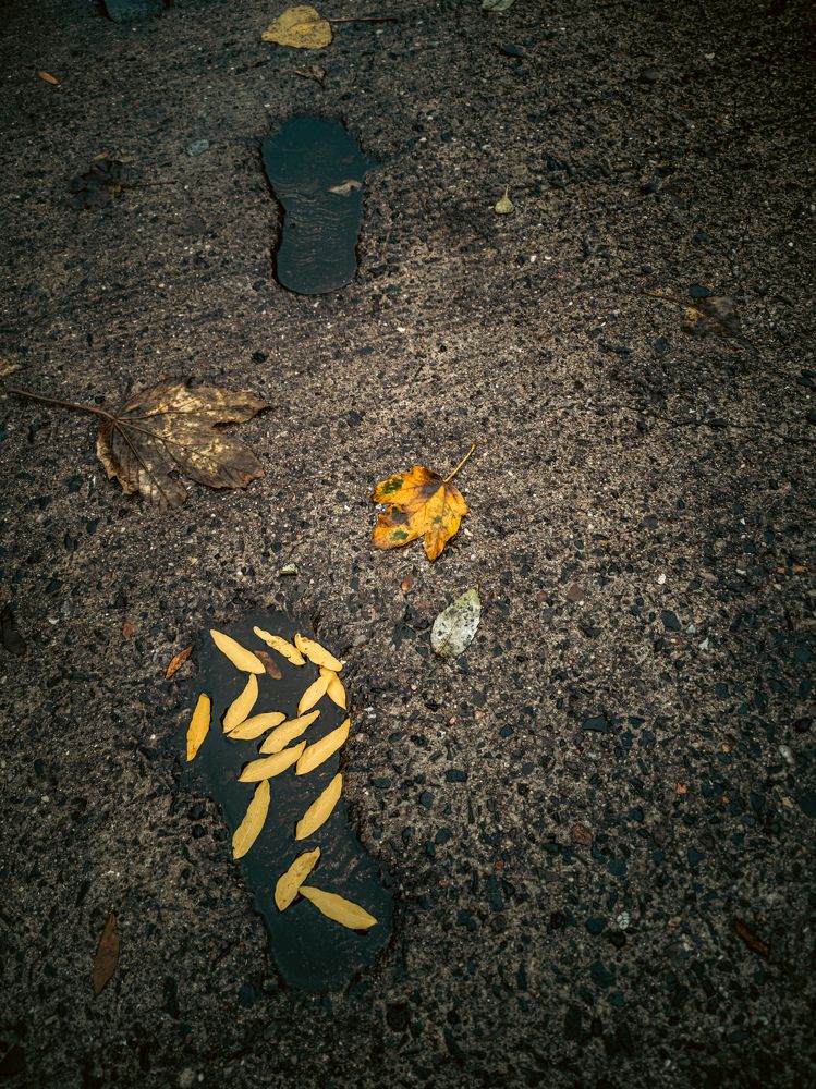 Photograph by Irina Tischer