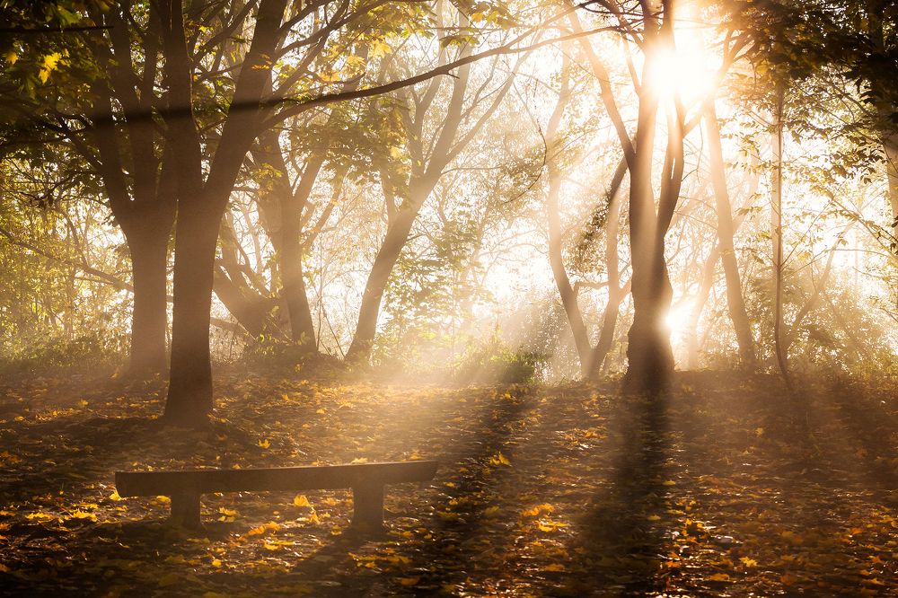 Photograph by Дмитрий