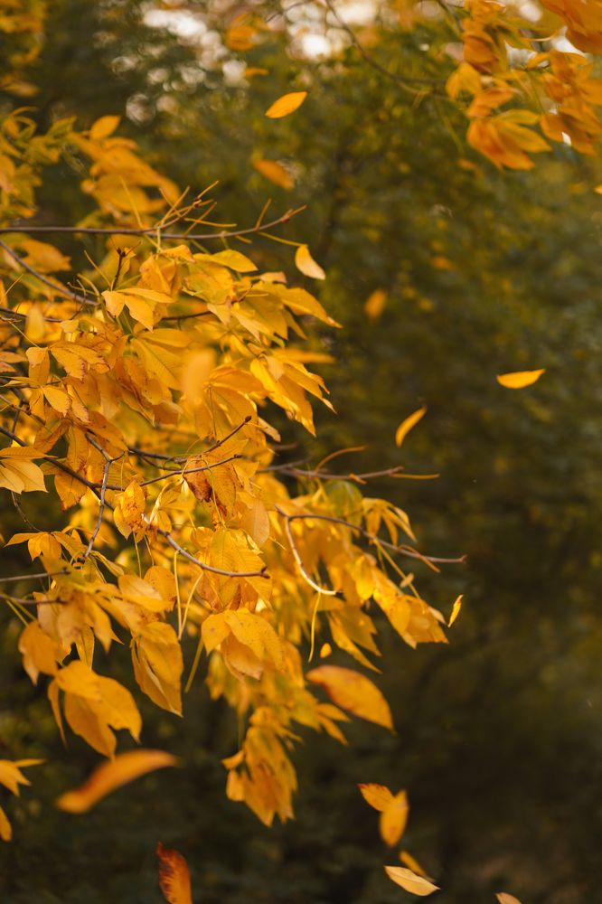 Photograph by Анна Борисова