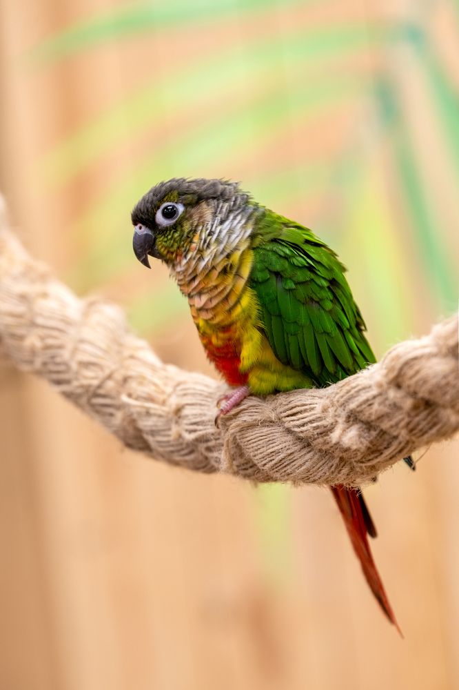 Photograph by Сергей Газизов