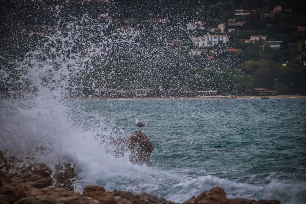 Фотография автора vanessa elbin