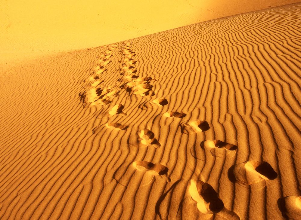 Photograph by Александр Нагибин