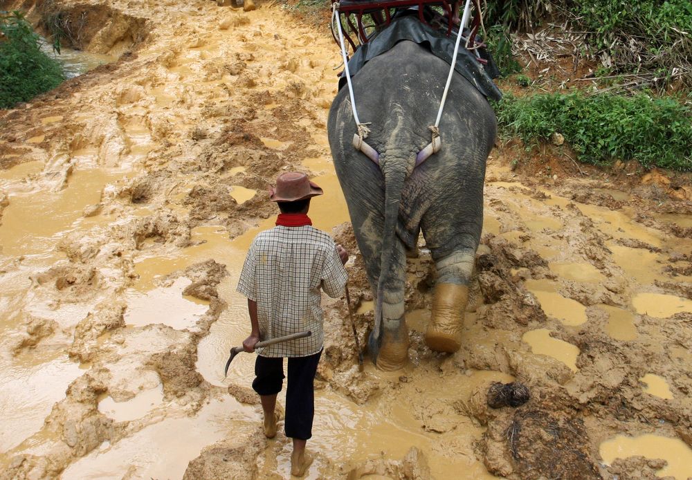 Фотография автора Александр Нагибин