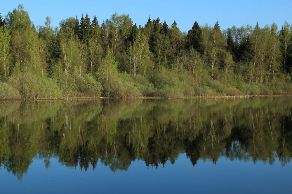 Photograph by Александра Пушнова