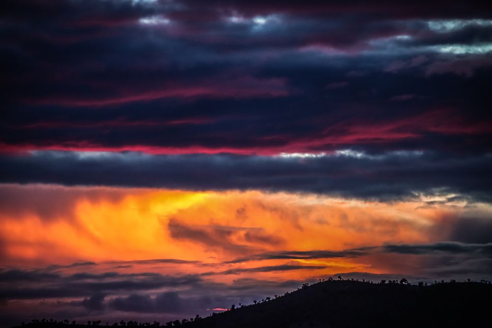 Фотография автора vanessa elbin