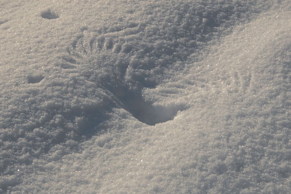 Photograph by Римма Волченко