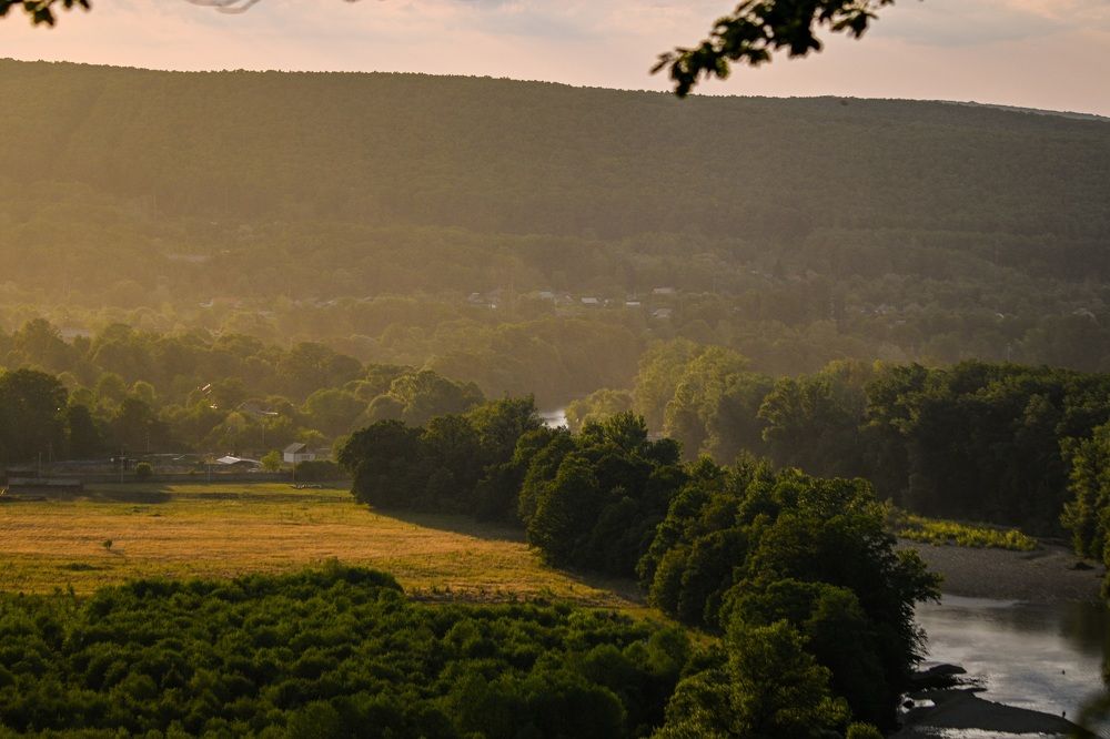 Photograph by Tim Wing