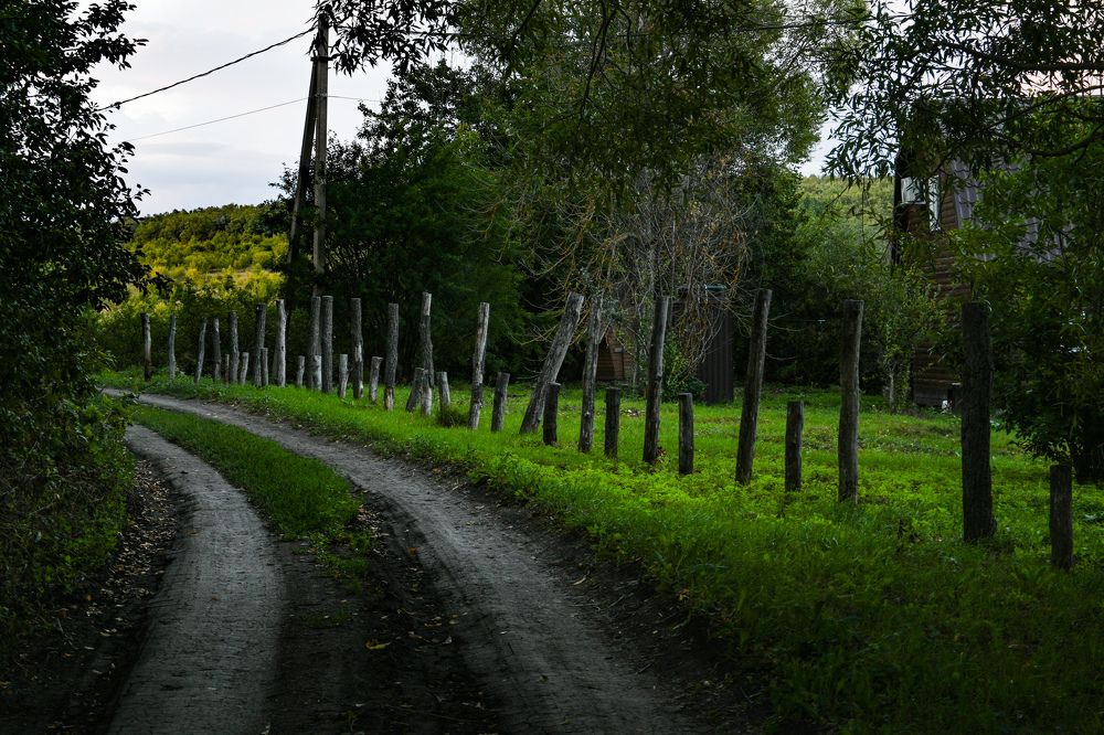 Photograph by Tim Wing