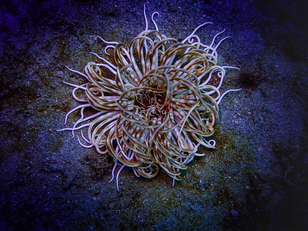 Photograph by Кирилл Леднев