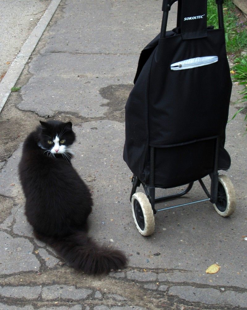 Photograph by Ольга Березовская